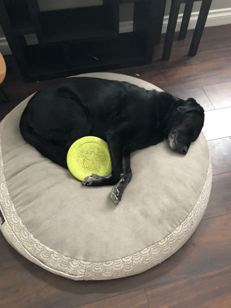 Jason D.'s profile image