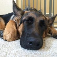 Sherry G.'s profile image