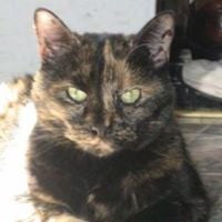 Dawn R.'s profile image