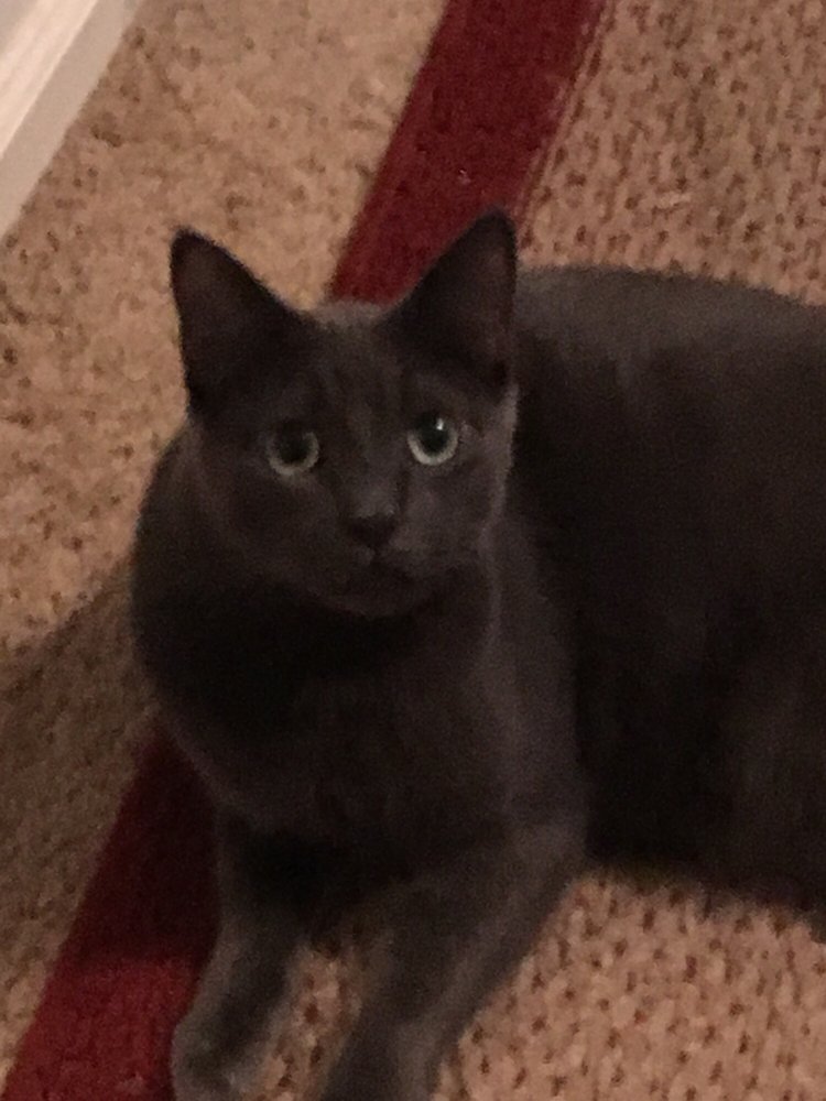 Nancy M.'s profile image