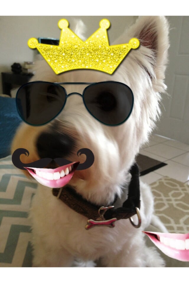 Heather M.'s profile image