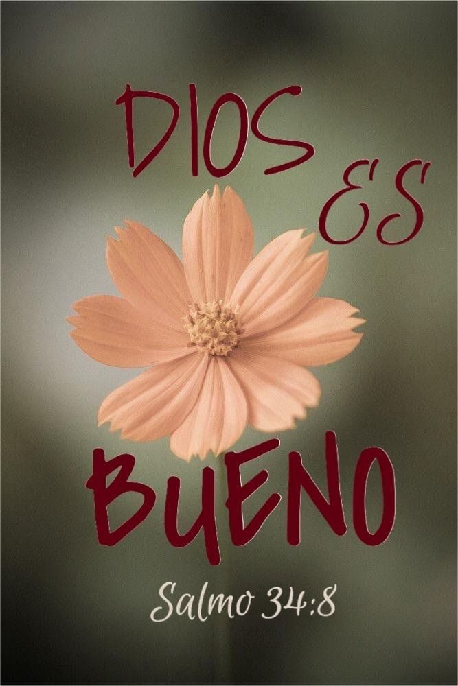 Catherine S.'s profile image