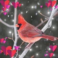 Linda Burton Yates's profile image