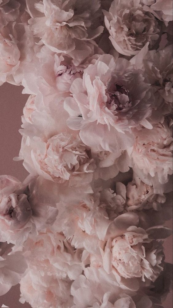 All_Arts 9.'s profile image