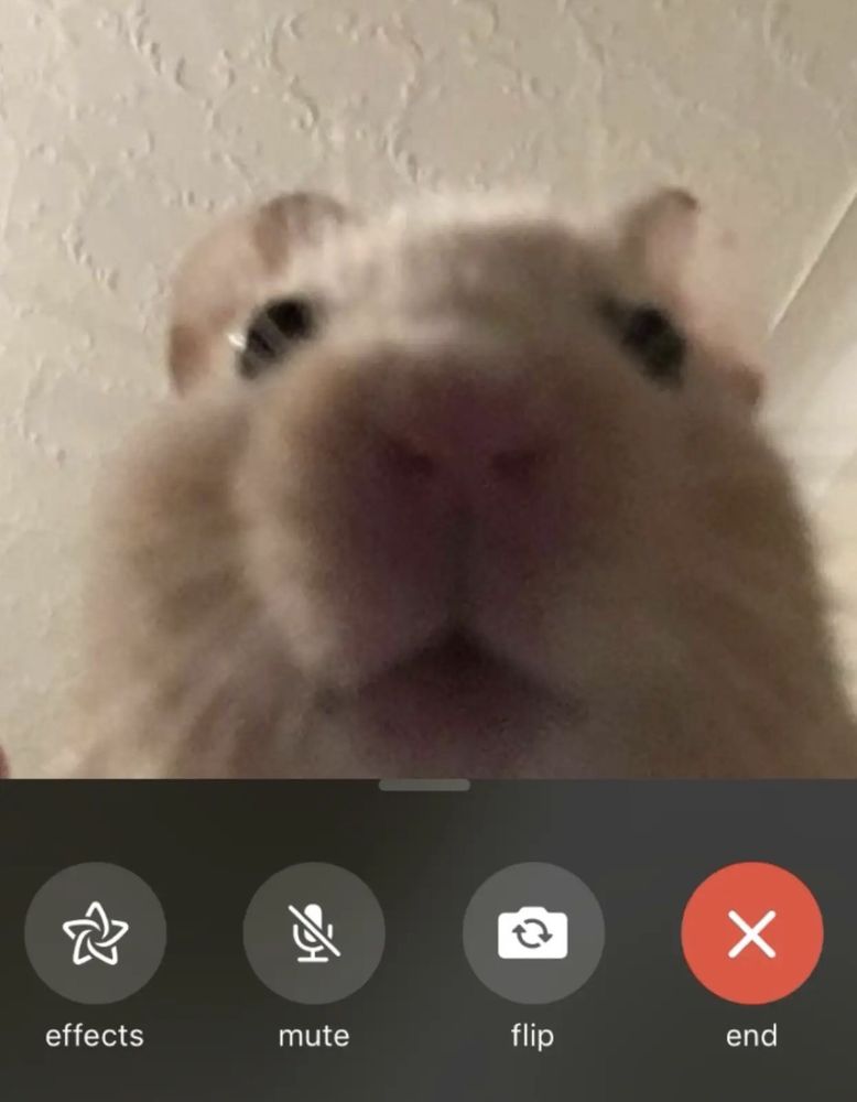 Carlos J.'s profile image