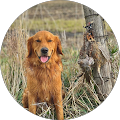 Matthew Gilles's Profile Image