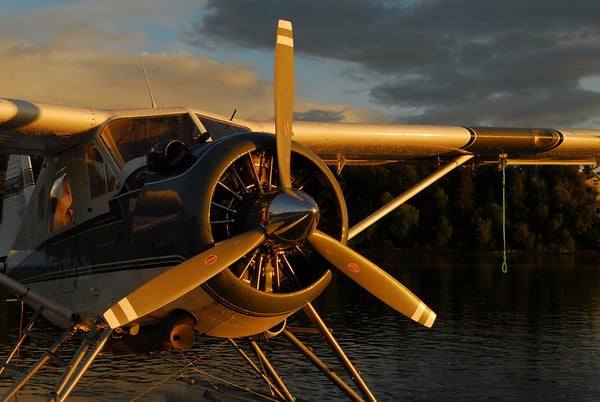 Flyer 7.'s profile image