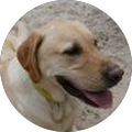 Profile Photo of Nadia Klocke