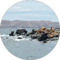 Profile Photo of Amy Winter