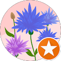 Profile Photo of M