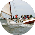 Lisa A.