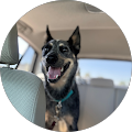 Profile Photo of Grace Solomine
