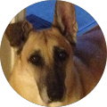 Profile Photo of Portia LaFehr