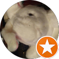 Bunny Thinks's Profile Image