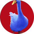 Profile Photo of Steve Johnson