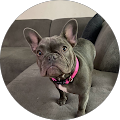 Paige Terwilliger's Profile Image