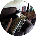 Barb Holzapfel's Profile Image
