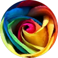 Kelly Chien's Profile Image