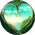 Barbara Rich's Profile Image