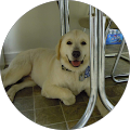 Mike Finnegan's Profile Image