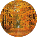 Kenneth Panitz's Profile Image