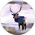 Profile Photo of Round Robin Llc