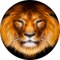 Lion Clause Studio's Profile Image