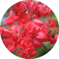 Elizabeth Fitzpatrick's Profile Image