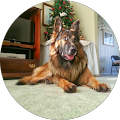 Venner Ron's Profile Image