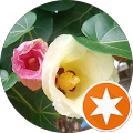 Kathie Maurer's Profile Image