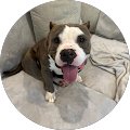 Profile Photo of melissa jimenez