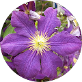 Wendy Stover's Profile Image
