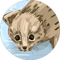 Fynn