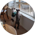Don Jenkins's Profile Image