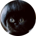 Profile Photo of Khat Sky