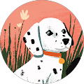 carmen castellano's Profile Image