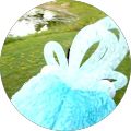 sorabji1's Profile Image