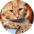 Darrel's Profile Image