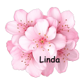 Linda Pilon's Profile Image