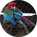 Profile Photo of Michelle Magee