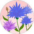 Profile Photo of Tiffany Anthoney