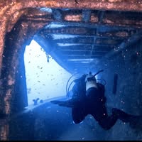 Brenda Holman's Profile Image