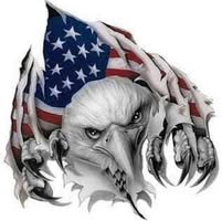 Steve Stiener's Profile Image