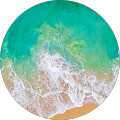 Jessica H's Profile Image