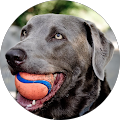 Jim Cole's Profile Image