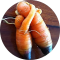 Karen Rometsch's Profile Image