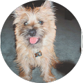 Kevin Kuemper's Profile Image