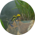 Shelley Rattink's Profile Image