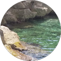 Joseph Jegen's Profile Image