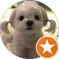 Denise Fuller's Profile Image